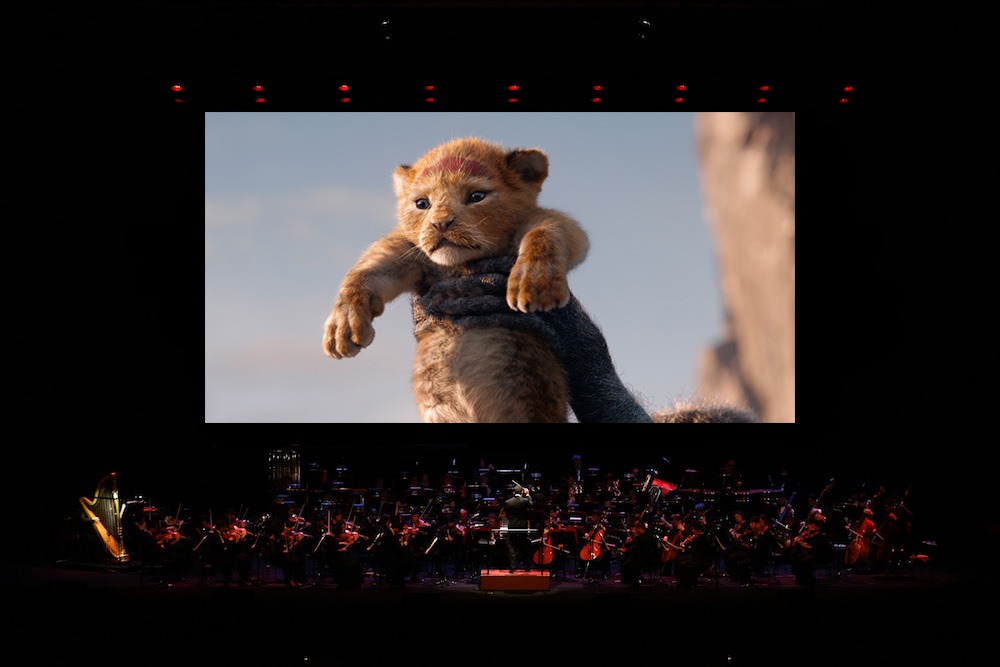 「ライオン・キング」ライブ・オーケストラ Presentation licensed by Disney Concerts. (c)Disney