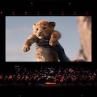 実写「ライオン・キング」を生演奏とともに楽しめるライブ・オーケストラ開催