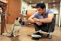 「結婚できない男」