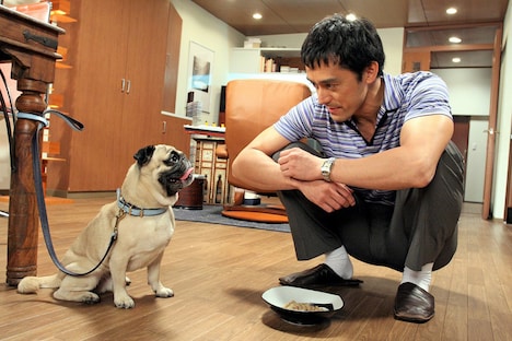 「結婚できない男」