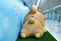 “史上最大のふわもふリラックマ”