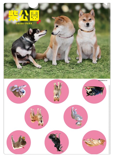 ミニクリアファイル