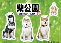 限定グッズのアクリルボールチェーン。