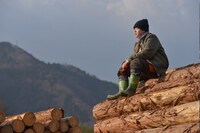 「林こずえの業」