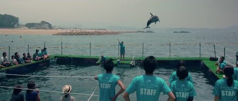 「あいが、そいで、こい」