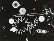 「マリン・スノー ―石油の起源―」