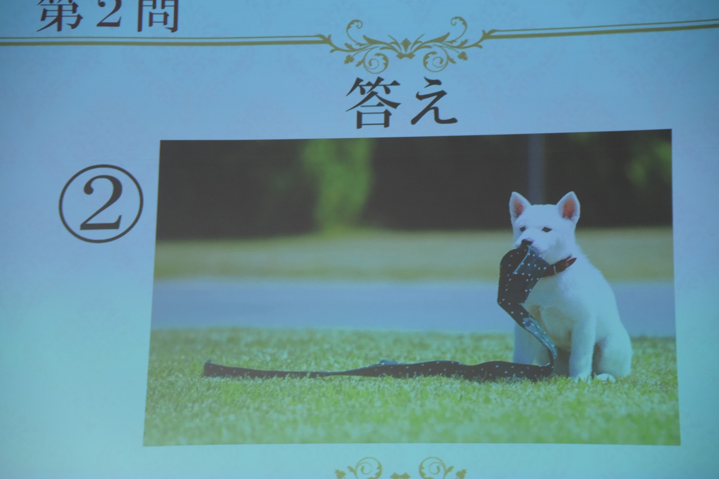 上流階級ミステリークイズ第2問の答え。
