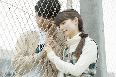 「小さな恋のうた」