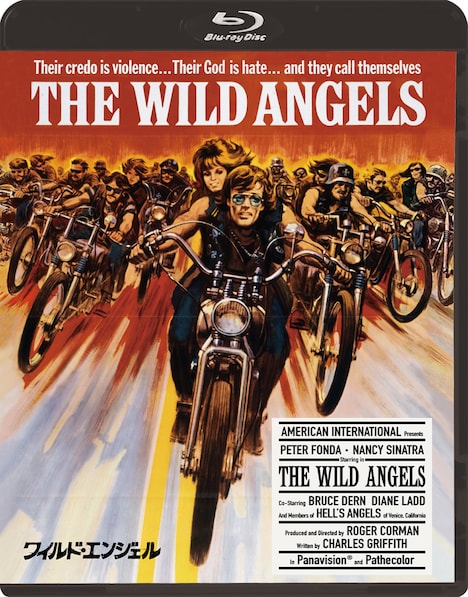 「ワイルド・エンジェル」Blu-rayジャケット (c)1966 Orion Pictures Distribution Corporation. All Rights Reserved.