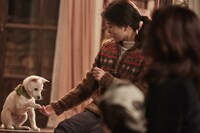 「リトル・フォレスト 春夏秋冬」メイキング写真