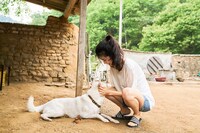 「リトル・フォレスト 春夏秋冬」メイキング写真