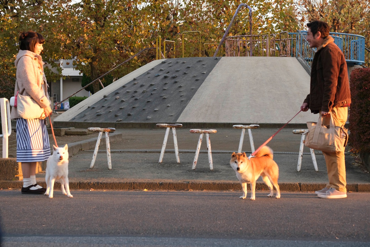 「柴公園」