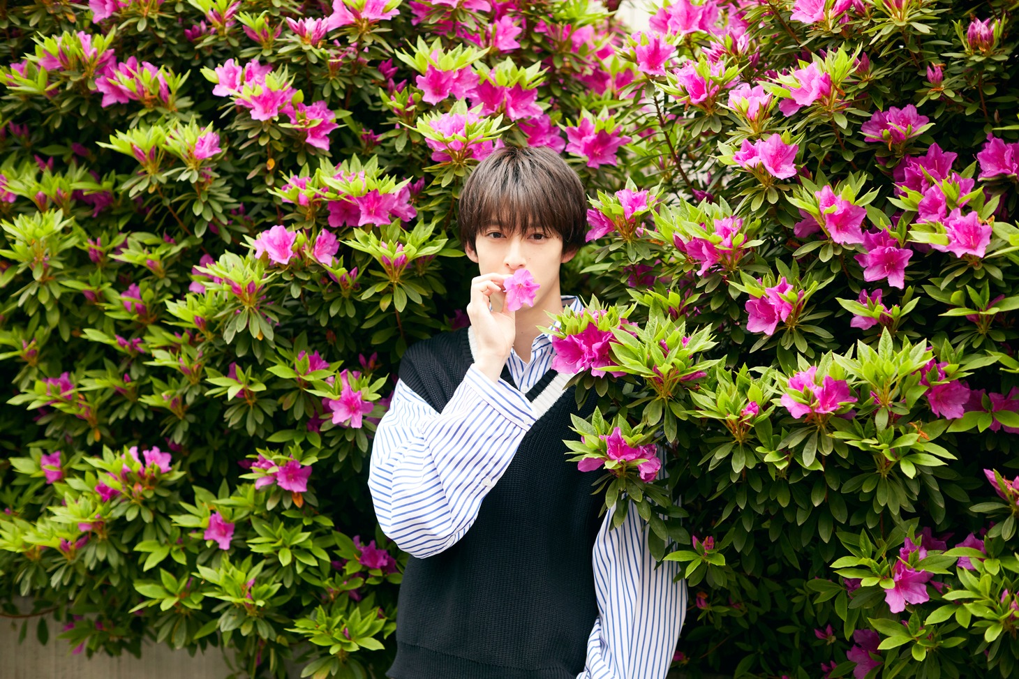 「'19」中面サンプル