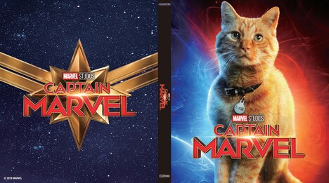 グースのキャラクターポスター仕様のリバーシブルジャケット。