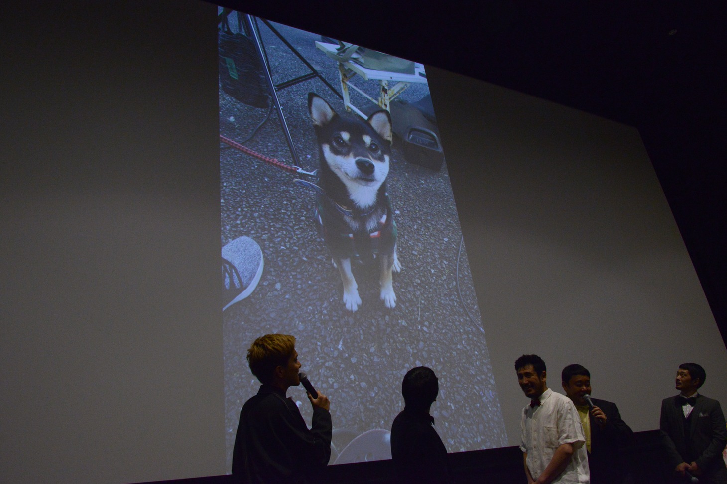映画「柴公園」完成披露上映会の様子。