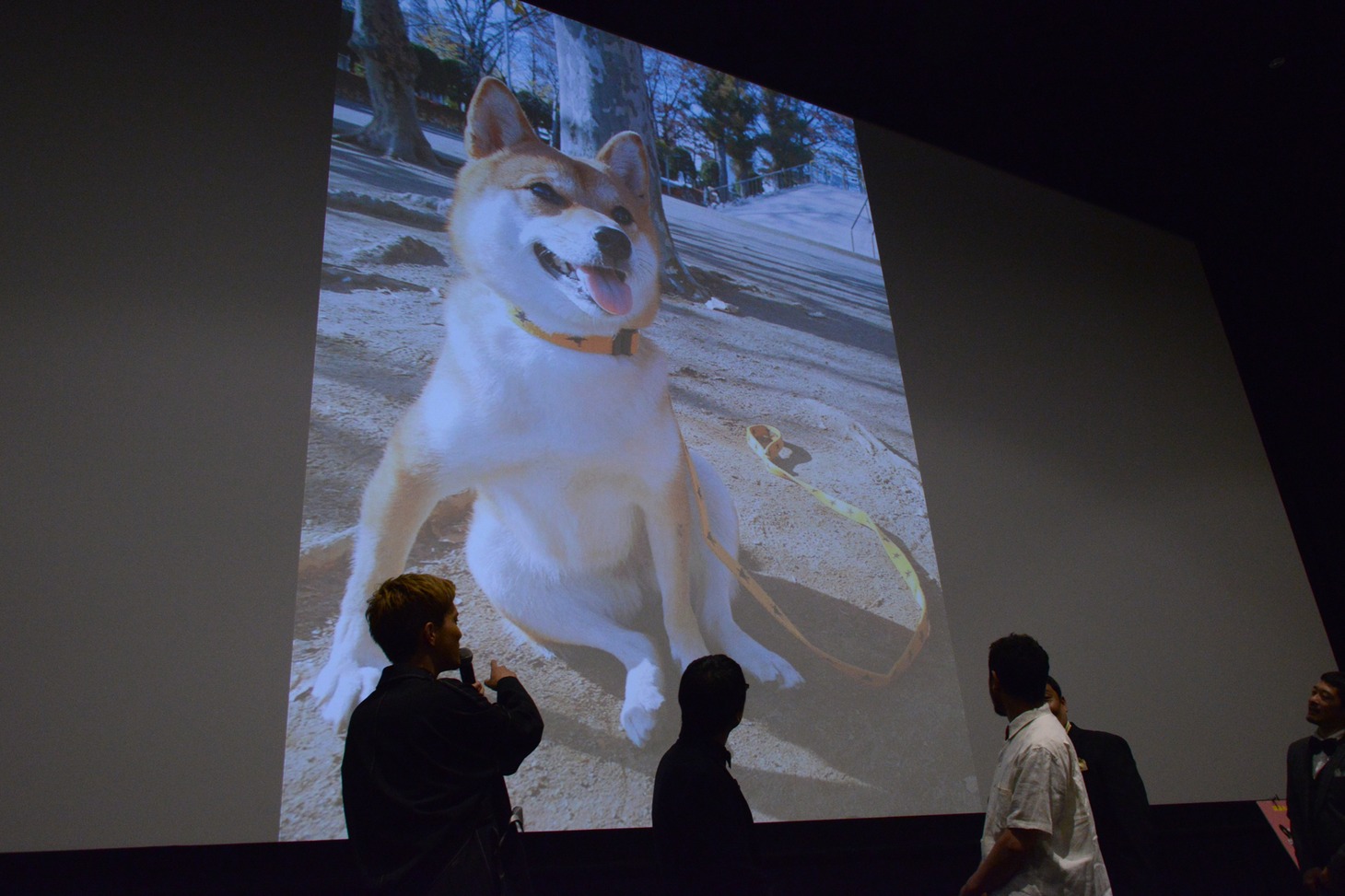 映画「柴公園」完成披露上映会の様子。