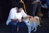 あたるをなでる渋川清彦。