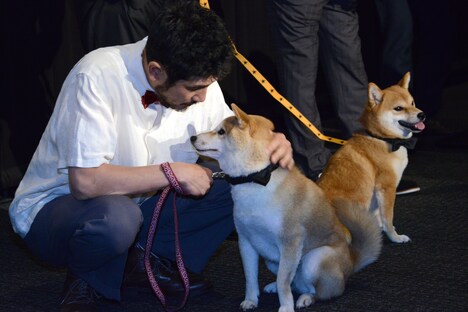 あたるをなでる渋川清彦。