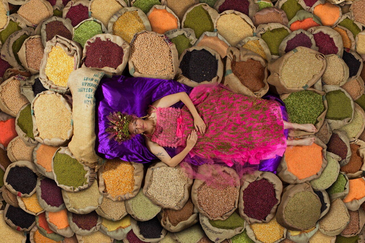 20世紀に94％が消滅…種子を取り巻く環境捉えたドキュメンタリー公開