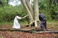 「大根侍」
