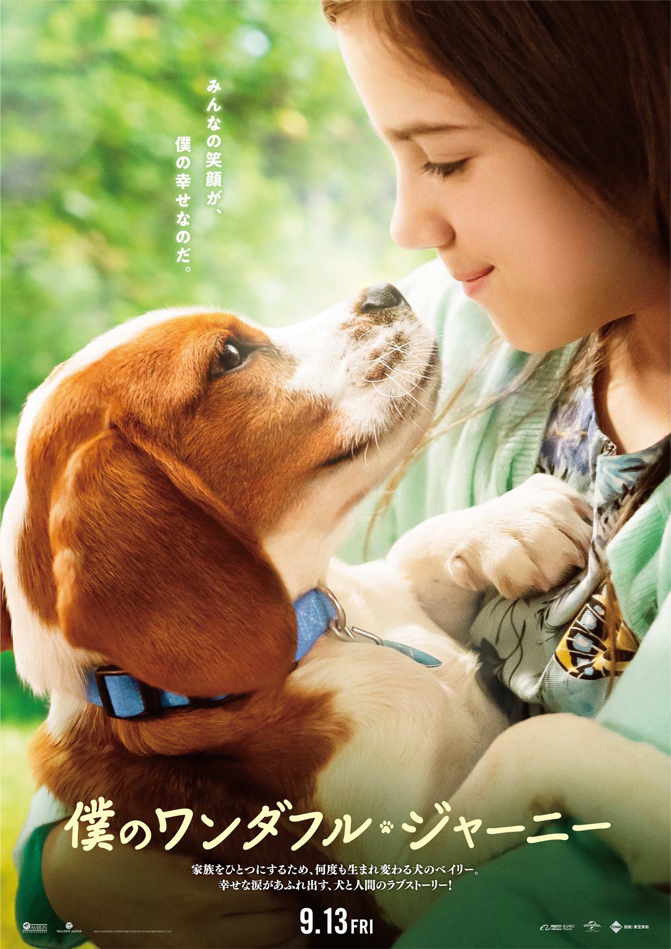 「僕のワンダフル・ジャーニー」日本オリジナルポスタービジュアル (c)2019 Storyteller Distribution Co., LLC, Walden Media, LLC and Alibaba Pictures Media, LLC.