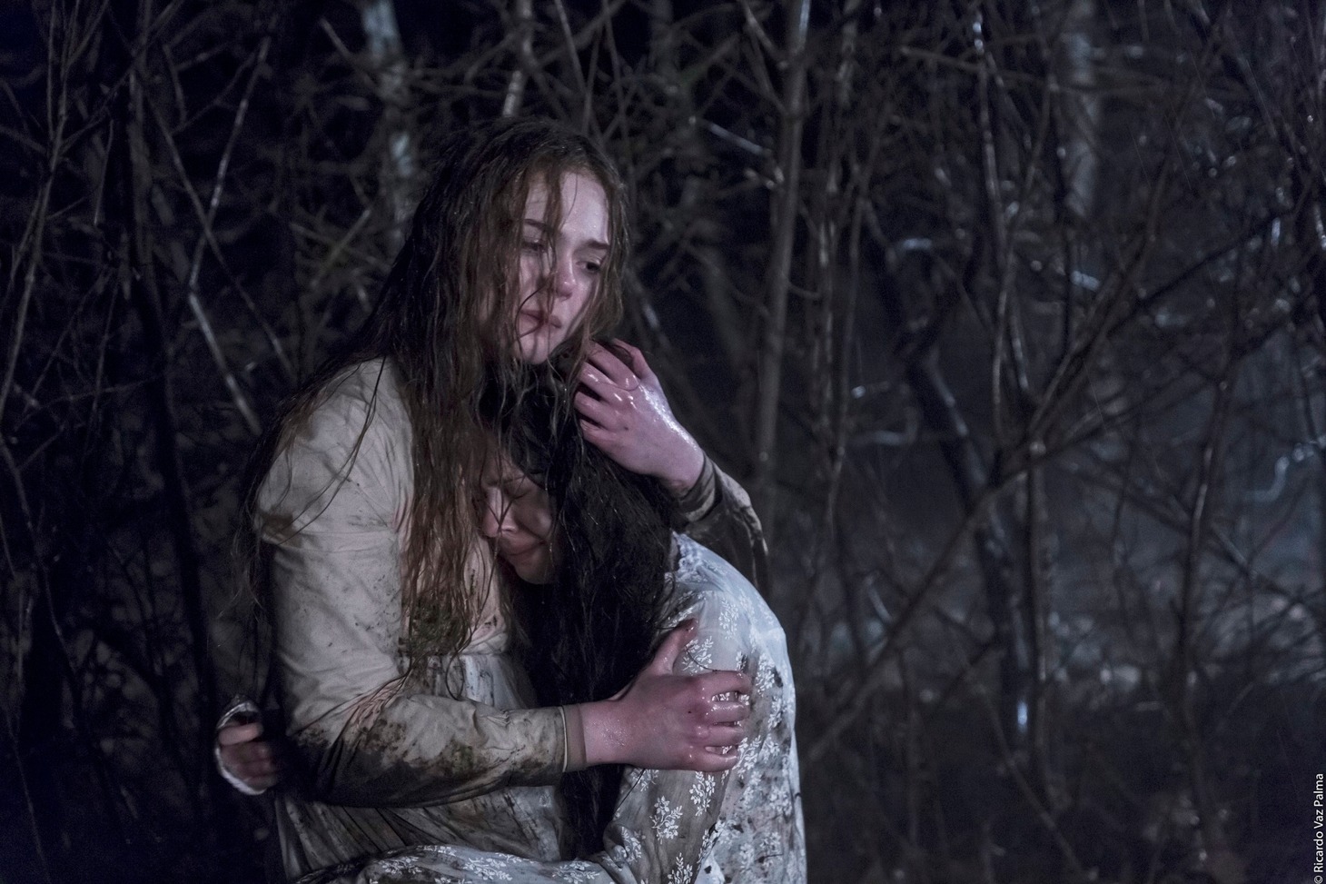 「メアリーの総て」