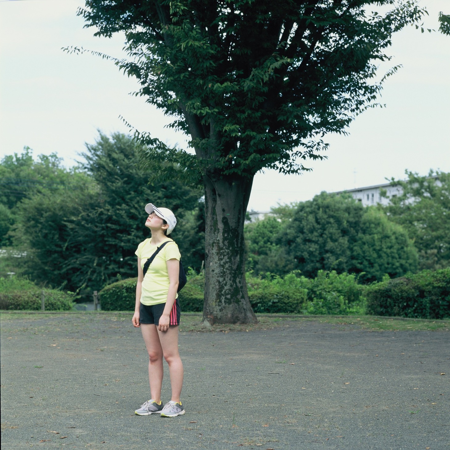 「ひかりの歌」 (c)光の短歌映画プロジェクト