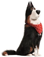 内藤剛志が声をあてるルースター。