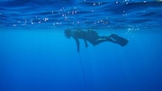 「トゥレップ~『海獣の子供』を探して~」