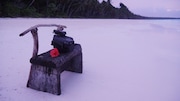 「トゥレップ~『海獣の子供』を探して~」