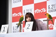 3匹のインコを見比べる山本美月。