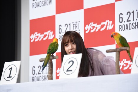3匹のインコを見比べる山本美月。