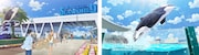 鴨川シーワールドCM「一緒に篇」