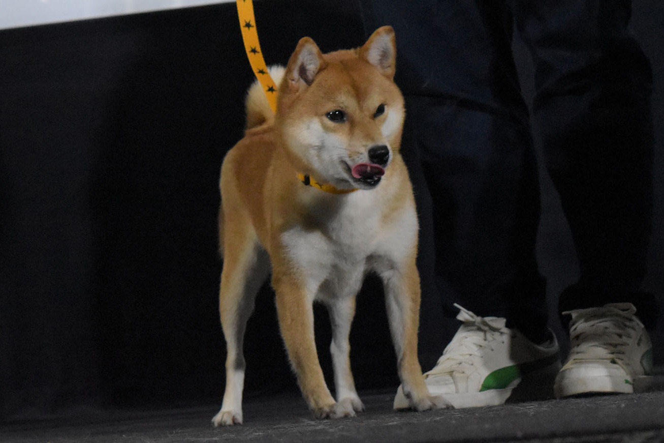 さちこ