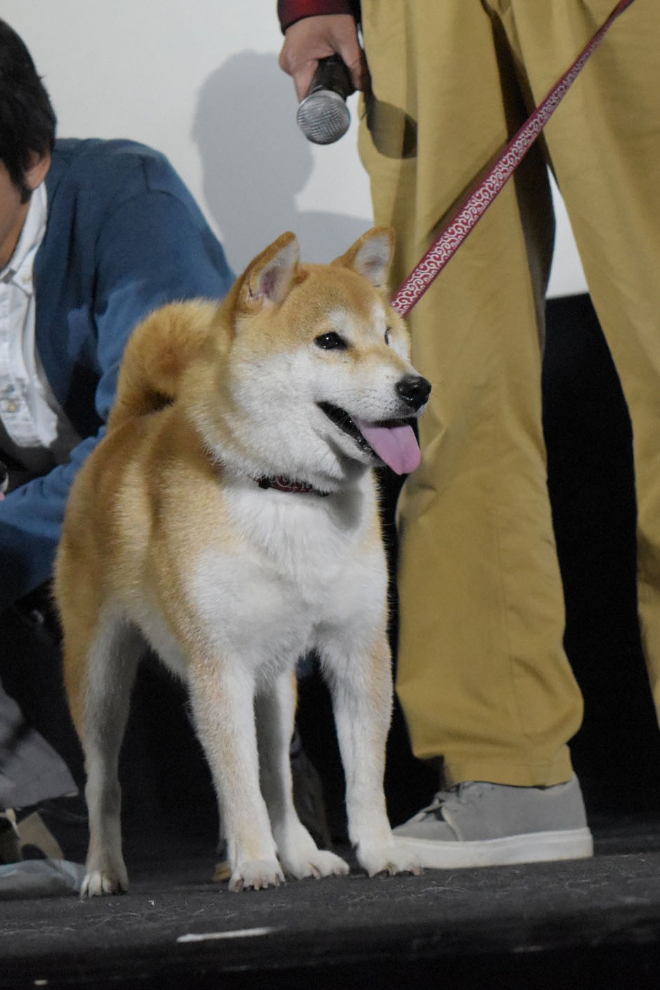 あたる