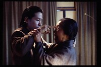 「新宿黒社会 チャイナ・マフィア戦争」 (c)1995 KADOKAWA