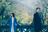 「マチネの終わりに」