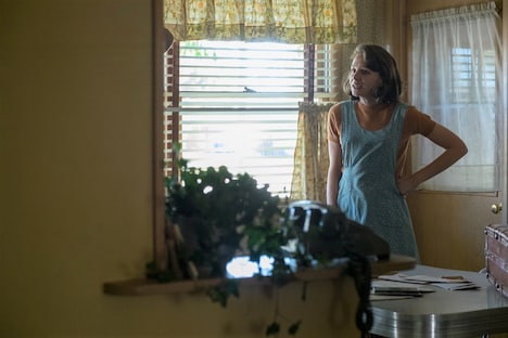 「ワイルドライフ」