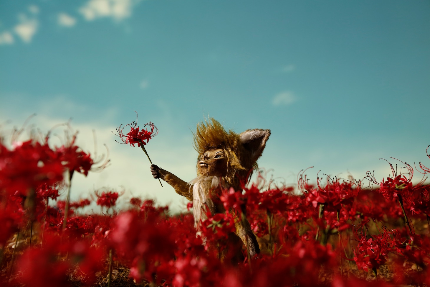 「ごん / GON, THE LITTLE FOX」