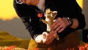 「ごん / GON, THE LITTLE FOX」メイキング写真
