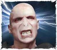 「毎日魔法！ハリー・ポッターvol.3」より、ヴォルデモート卿。