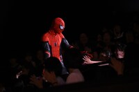 観客と触れ合うスパイダーマン。