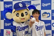 左からドアラ、佐野岳。