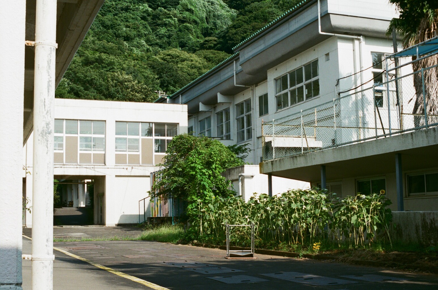 「ヴィニルと烏」