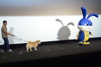 キャプテンスノーボール（右）に接近するまる（左）。