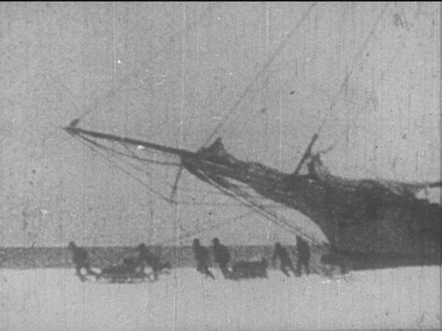 「日本南極探検」