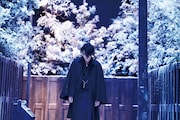 「人間失格 太宰治と3人の女たち」