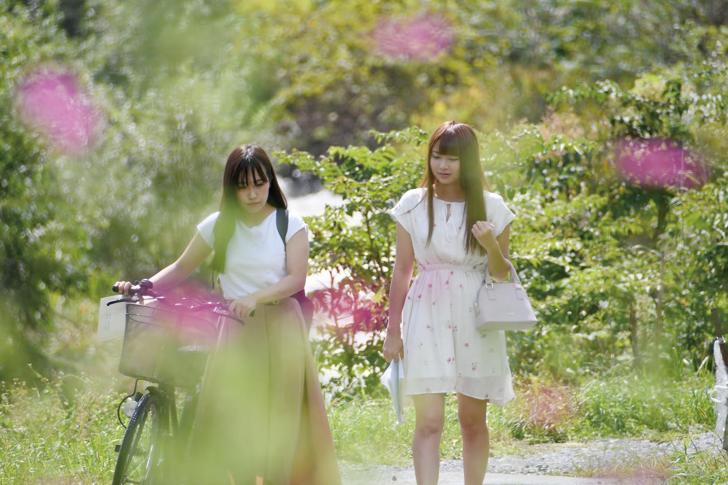 「大人の同級生」
