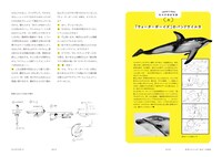 「映画監督はサービス業です。矢口史靖のヘンテコ映画術」中面