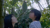 「散歩する植物」